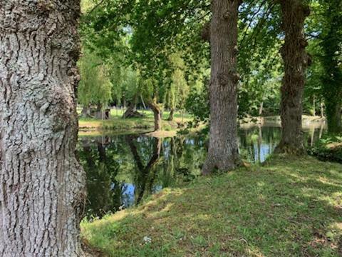 La Demeure Romantique Bazouges-sous-Hede Экстерьер фото